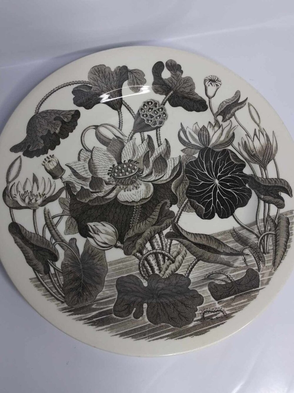 Wedgwood Water-Lilly Plate 9"